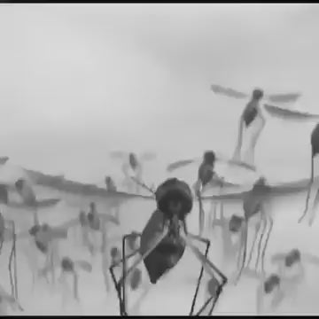 Electric Mosquito Killer With 360 Degrees LED Trap Lamp